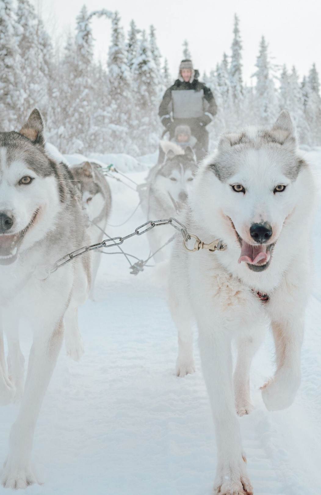 Rovaniemi Arctic Christmas Escape